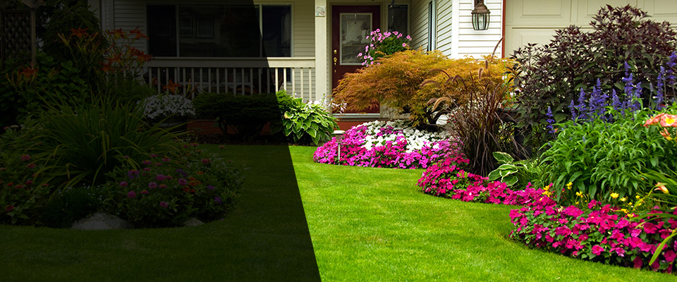 Colleyville Landscapers